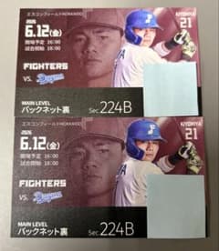 エスコン 2026年6月12日（金）ファイターズ vs ドラゴンズ ペア