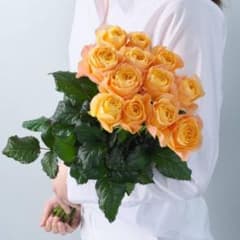 切り花品種バラ苗　レアバラのサムネイル