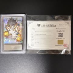 ARS10】ドラゴンボール フュージョンワールド 孫悟空 鑑定書付 - メルカリ