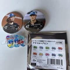 北海道日本ハムファイターズ 缶バッジ ヘアピン セットのサムネイル