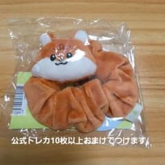 NCT DREAM Dreamiez ぬいぐるみシュシュ ロンジュン - メルカリ