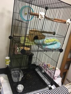 小動物 飼育セットのサムネイル