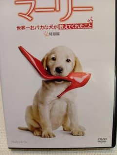 マーリー 世界一おバカな犬が教えてくれたこと 特別編 DVDのサムネイル