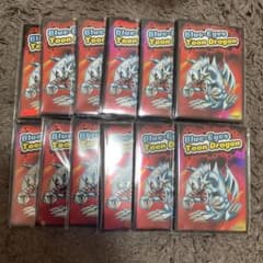 遊戯王 ブルアイズ•トゥーン•ドラゴン プロテクター12点セット 遊戯王 ブルアイズ•トゥーン•ドラゴン プロテクター12点セット - メルカリ
