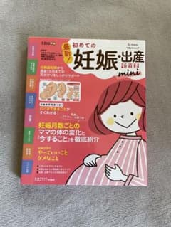 最新!初めての妊娠・出産新百科mini ベネッセのサムネイル