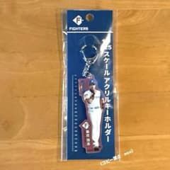 日本ハム　ファイターズ　アクリル　キーホルダー　1／25スケール　野球　セット 推し活＆推しアピールできる「推しバッグ」＆選手イラストアクリル