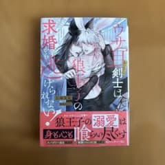 ウサ耳おっさん剣士は狼王子の求婚から逃げられない!
