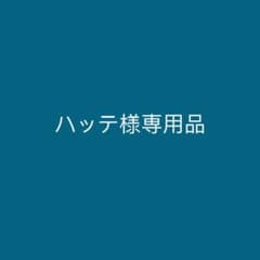 ハッテ様専用品 McGREGOR マックレガー ローファー サイズ25.5cmのサムネイル