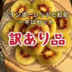 農園直送濃厚キウイフルーツレインボーレッド＆紅妃 訳アリ1キロ