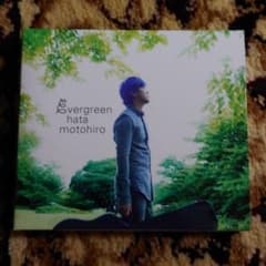 evergreenのサムネイル