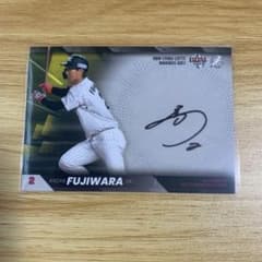 m62065608568_1.jpg?1727271329