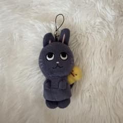RIIZE ウォンビン トニャンドク ぬいぐるみ（タグ付き） - メルカリ