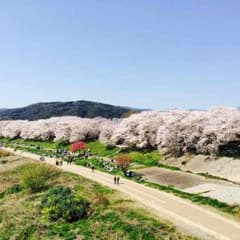 返金用   はなみずき様のサムネイル