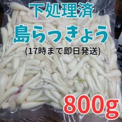【沖縄県産】島らっきょう 約800g【下処理済】のサムネイル