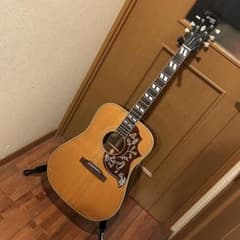 ♡*様 超レア！Orville by Gibson HUMMINGBIRDエレア m62074236858_1.jpg?1768913975