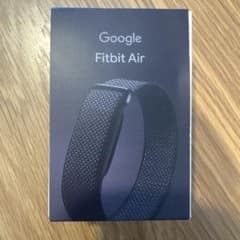 Google Fitbit Airのサムネイル