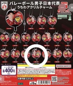 バレーボール男子日本代表 うちわアクリルチャーム 永露元稀 - メルカリ