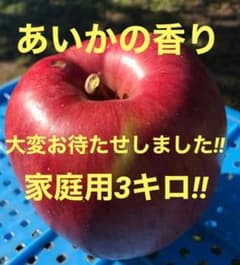 ✨️信州農家✨️【大玉】あいかの香り✨️家庭用３キロ！のサムネイル