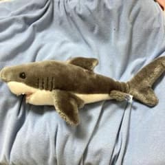 サメぬいぐるみのサムネイル