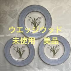 21cm ウェッジウッド サラズガーデン　スノードロップ　プレート　未使用3枚 21cm ウェッジウッド サラズガーデン スノードロップ プレート 未使用3