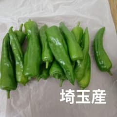 7月18日激辛 中辛 辣妹子 青唐辛子 300g埼玉産 【露地栽培】自然成熟