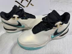 LEBRON NXXT GEN AMPD EPのサムネイル