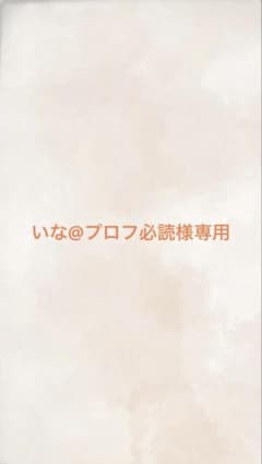 いな@プロフ必読様専用 - メルカリ