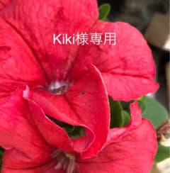Kiki様専用のサムネイル