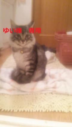 ゆい様　専用のサムネイル