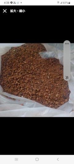 カバノアナタケ 粉砕状 2キロ - メルカリ