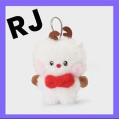 BT21 mini minini 홀리데이 오너먼트 마스코트 RJ
