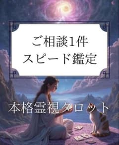 본격 감정 타로 운세 질문 하나