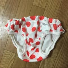 水遊びパンツ 90㎝のサムネイル