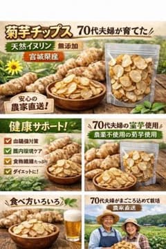 菊芋チップス1kg（50g×20袋） 無添加 宮城県産 天然イヌリン 数量限定】菊芋チップス100g 無添加 宮城県産 天然イヌリン - メルカリ