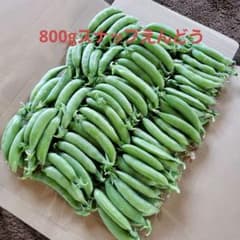 新鮮 スナップエンドウ 収穫野菜 800g ネコポスのサムネイル