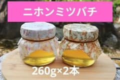 日本みつばち　コムハニー　巣蜜　日本蜜蜂　とれたて　はちみつのサムネイル