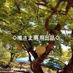 唯さま専用 ノルン 朔也ブロマイドのサムネイル