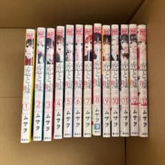 恋と嘘 全12巻(13冊)セットのサムネイル