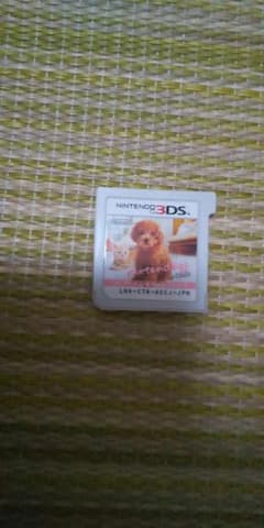 3DS ニンテンドッグのサムネイル