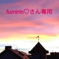 fumirin♡さん専用 ヘアゴムのサムネイル