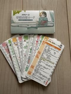 プチナース　　看護実習カード セットのサムネイル