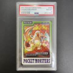 m62177510007_1.jpg?1725878959