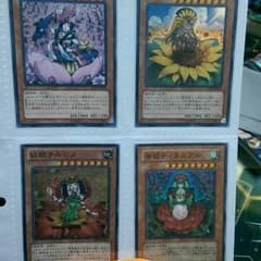 [値下げ]四季姫のサムネイル