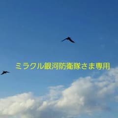 ミラクル銀河防衛隊さま専用のサムネイル