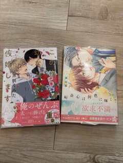 BL漫画　好奇心は何色に輝く？　この度幼なじみと仮婚しますのサムネイル