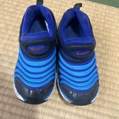 ダイナモフリー  19cmのサムネイル