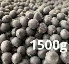 黒豆　1500gのサムネイル