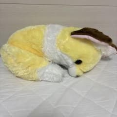 ちょこんときつね　くるんとおねむのサムネイル