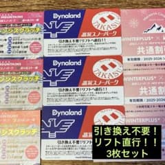 高鷲スノーパーク ダイナランド 共通リフト券 3枚+割引券セット - メルカリ