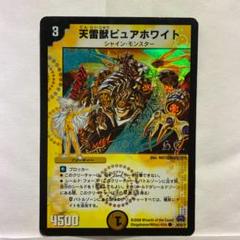 m62227092309_1.jpg?1605597725